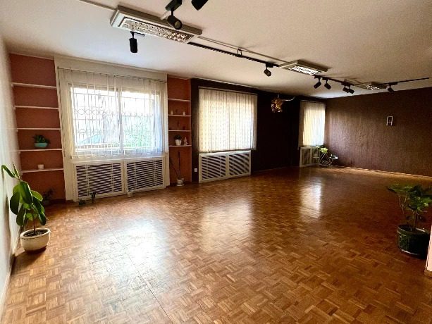 باشگاه یوگا مون شدو