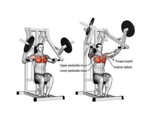 با یادگیری نحوه صحیح اجرای پرس سینه دستگاه موازی نشسته، می‌توانید به تقویت عضلات سینه و افزایش قدرت بدنی خود بپردازید.