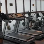 باشگاه جیم شارک (Gym Shark)