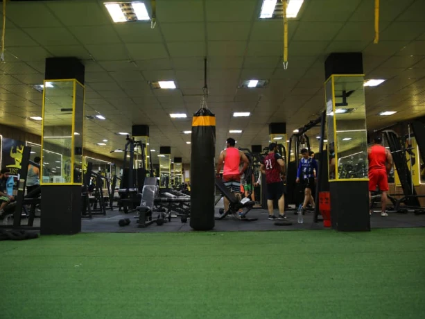 باشگاه بدنسازی آرت فیتنس (Art Fitness Gym)