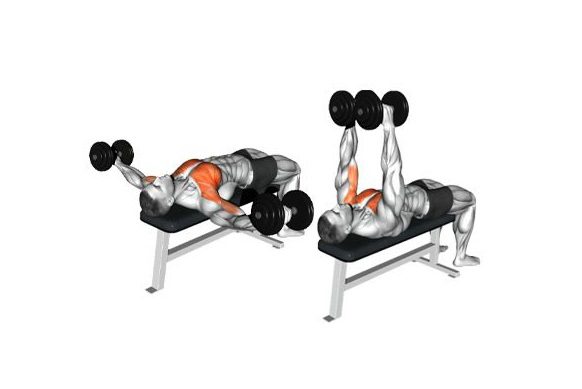 با یادگیری اصول صحیح اجرای حرکت قفسه سینه دمبل چکشی، می‌توانید تمرینات خود را به سطح جدیدی ارتقا دهید.