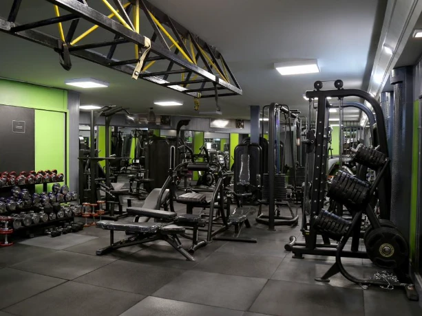 باشگاه هالک