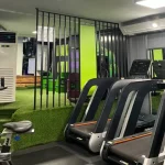 باشگاه هالک