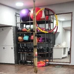 باشگاه لیدی لند