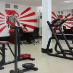 باشگاه پاور لاین - خط قدرت (Power Line Gym)