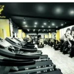 باشگاه بدنسازی راک (Rock Gym)