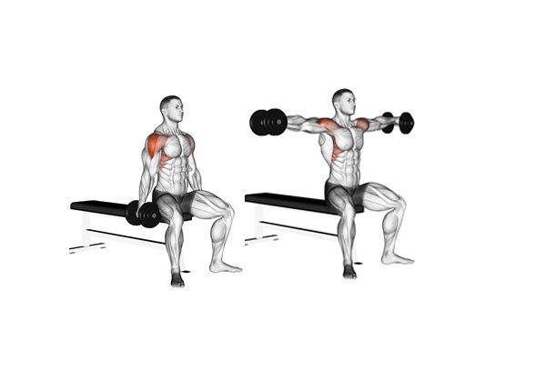  از حداکثر پتانسیل عضلات خود بهره‌برداری کنید و به پیشرفت‌های چشمگیری دست یابید.