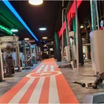 باشگاه اسپینو (espino vip) - شعبه دروس ویژه بانوان