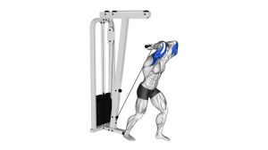 راهنمایی برای بهبود قدرت و استقامت عضلات پشت بازو.