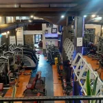 باشگاه یاران