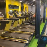 باشگاه زندگی ورزشی