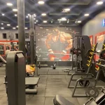 باشگاه زندگی ورزشی