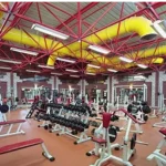 مجموعه ورزشی زیتون سبز