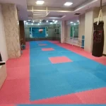 مجموعه ورزشی آمیتیس البرز