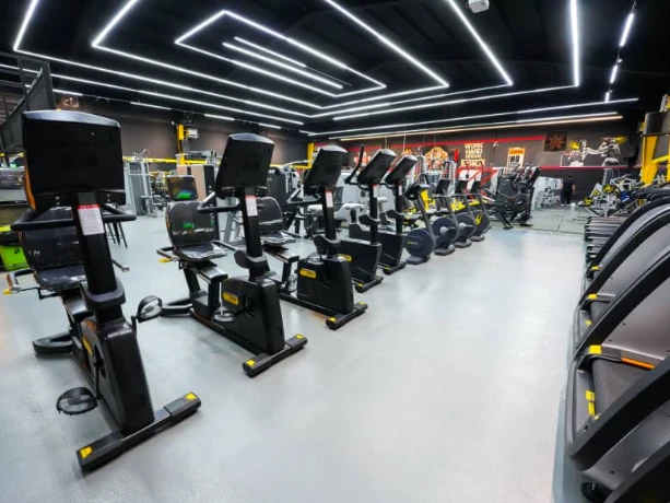 باشگاه دینامیک در کرج