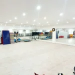 باشگاه ونوس