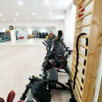 باشگاه ونوس
