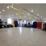 باشگاه ونوس