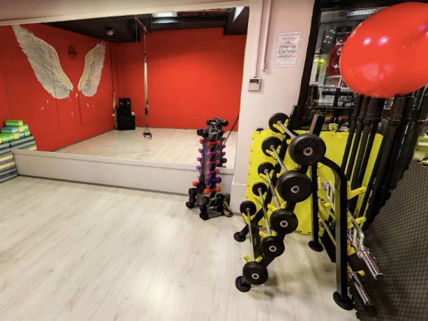 باشگاه آدلی