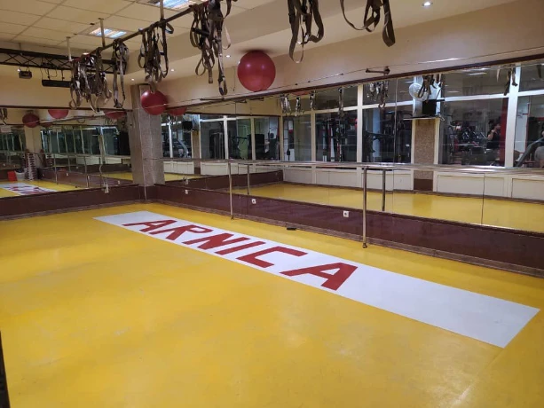 باشگاه ورزشی آرنیکا