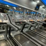 باشگاه بدنسازی هنرمندان