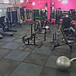 باشگاه ورزشی دی