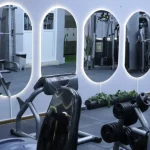 باشگاه دی ان ای (DNA Gym)