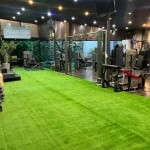 eco-fitness (2)