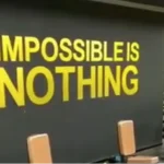 fizik-pluse-gym (4)