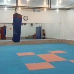 مجموعه ورزشی حمزه