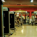 meshkat-gym (2)
