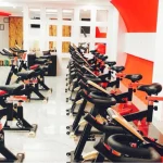 nastaran-gym (1)