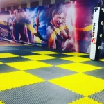 olampic-gym-kerman (4)