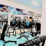 باشگاه ورزشی پارسی