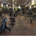 باشگاه ستارگان قم