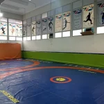مجموعه ورزشی شهدای فرهنگی