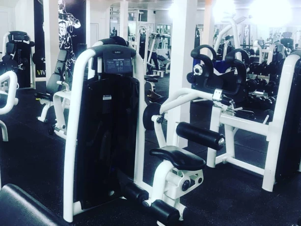 باشگاه ویوا در فیروزکوه