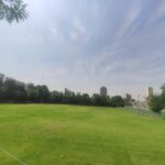 زمین چمن پرشان (شیرودی)