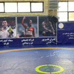 سالن جهان پهلوان انوری