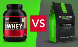 وی بهتر است یا گینر؟