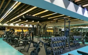 1e03d4cbef49f527348dc32b901fdd0b