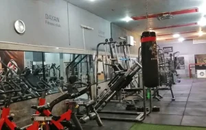 باشگاه دایان