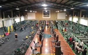 باشگاه سازمان جنگل ها