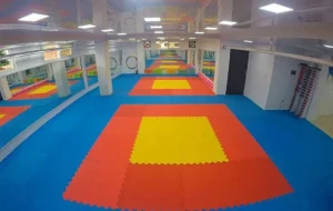 مجموعه ورزشی ارمایل