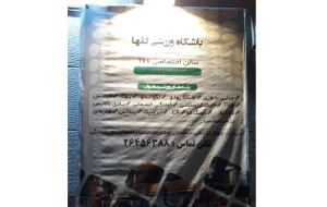 باشگاه ورزشی گلها