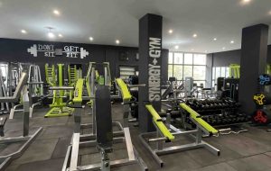 باشگاه سینرجیم (sinergym)