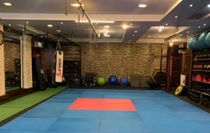 باشگاه لیان