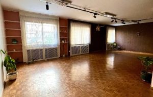 باشگاه یوگا مون شدو