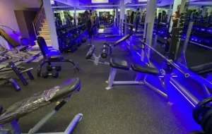 باشگاه ضربان - pulse