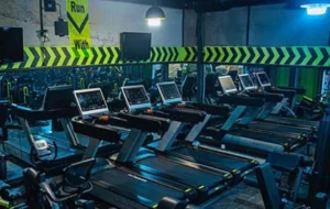 باشگاه سناتور